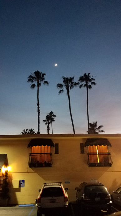 Night Sky Beauty