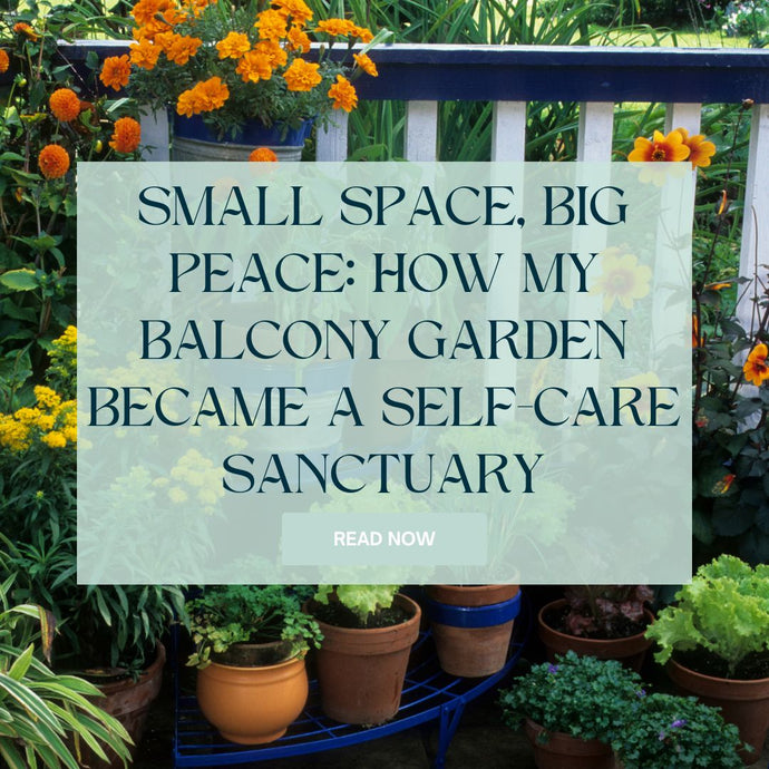 Small Space, Big Peace: How My Balcony Garden Became a Self-Care Sanctuary